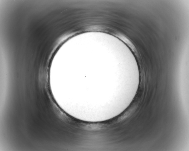 X0000086061000200704091225