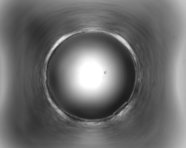 X0000086061005200704091225