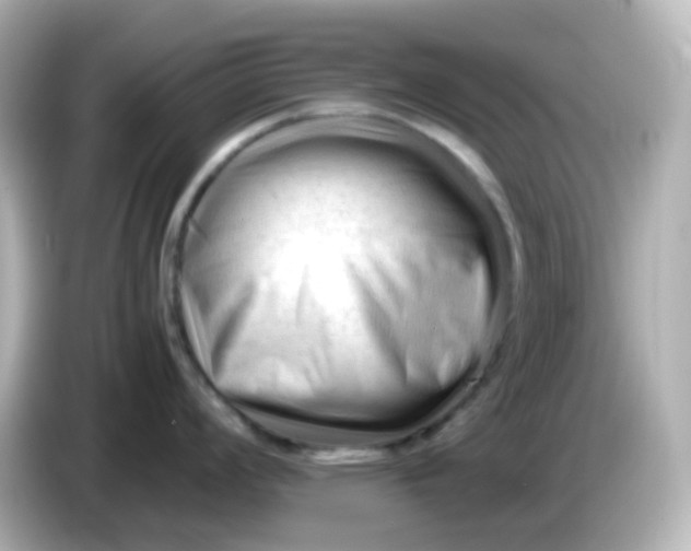 X0000086061008200704091225