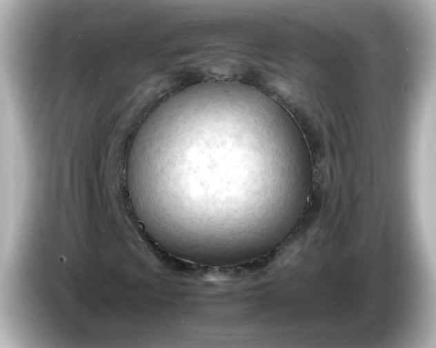 X0000086061009200704091224