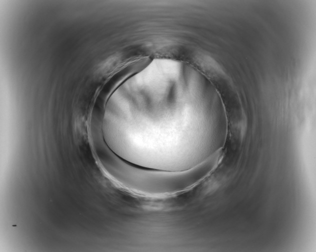 X0000086061010200704091224