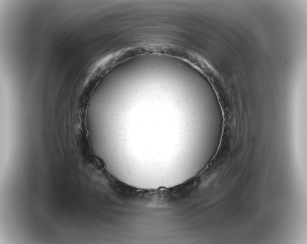 X0000086061016200704091224