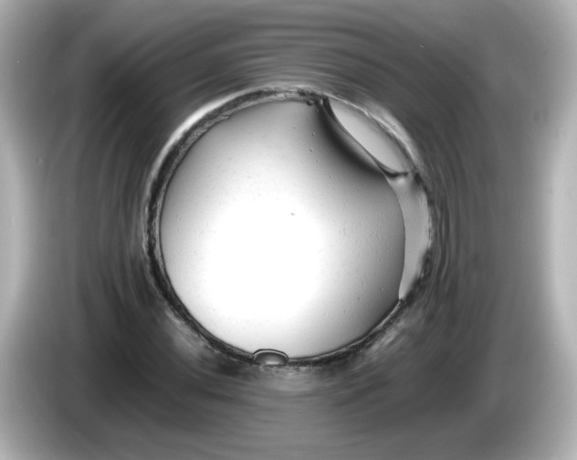 X0000086061020200704091224