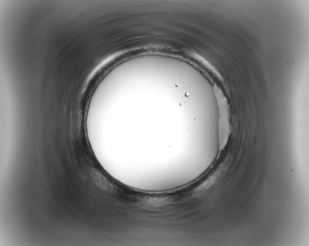 X0000086061021200704091224