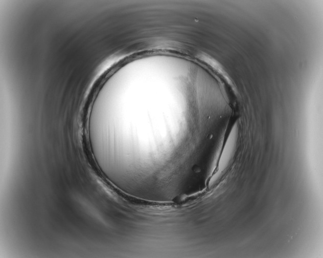 X0000086061024200704091224