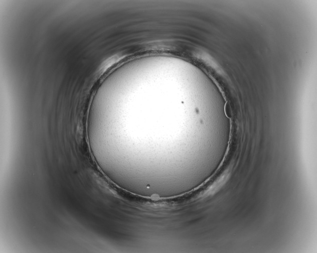 X0000086061025200704091224