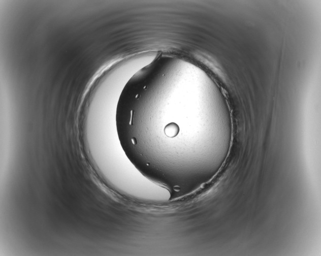 X0000086061026200704091224