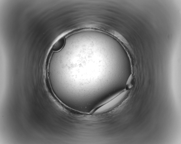 X0000086061028200704091224