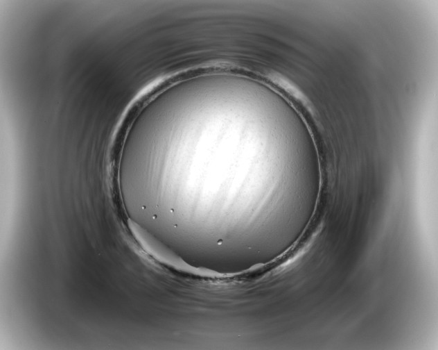 X0000086061029200704091224