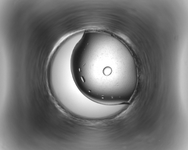 X0000086061030200704091224