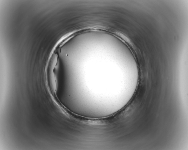 X0000086061032200704091224