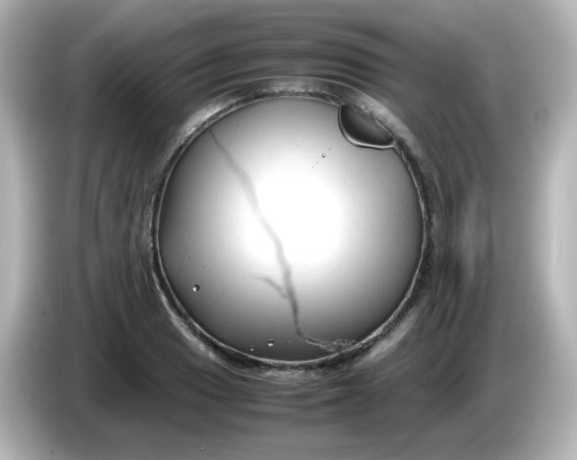 X0000086061033200704091224