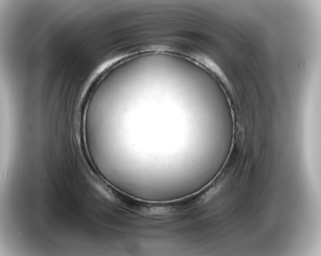 X0000086061035200704091224