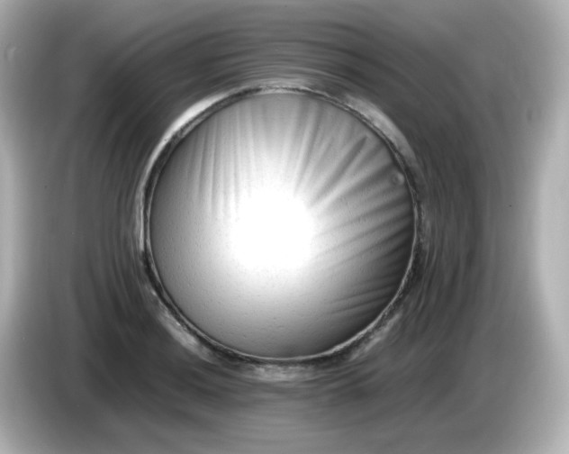 X0000086061036200704091224