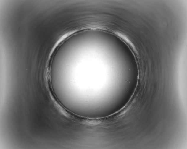 X0000086061040200704091224