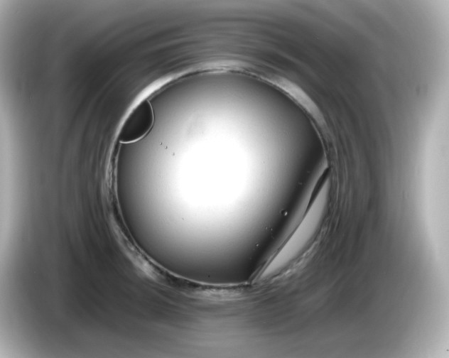 X0000086061044200704091224