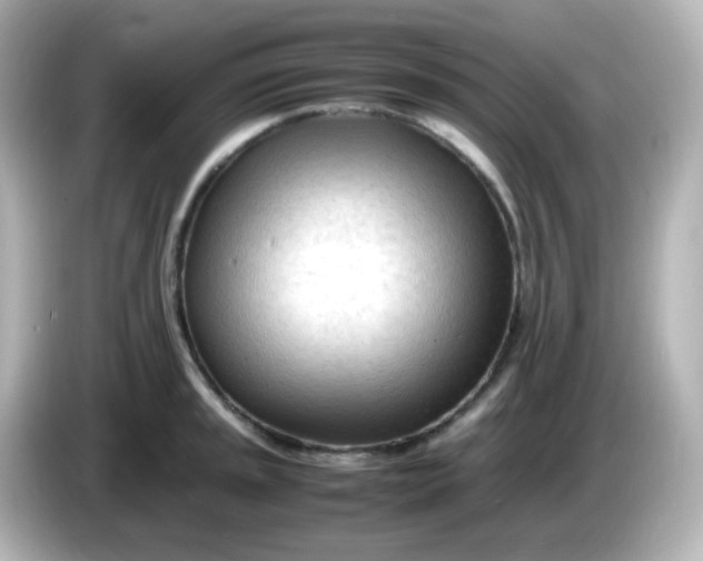 X0000086061045200704091224