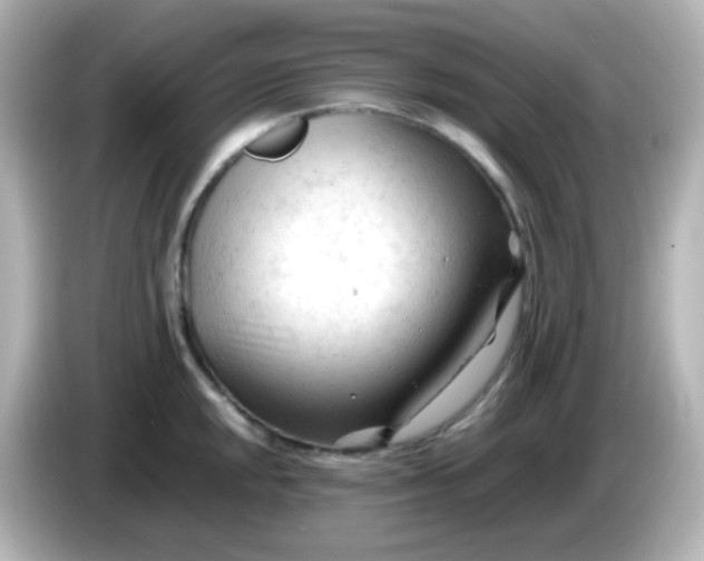 X0000086061048200704091224