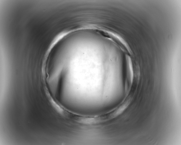 X0000086061054200704091224