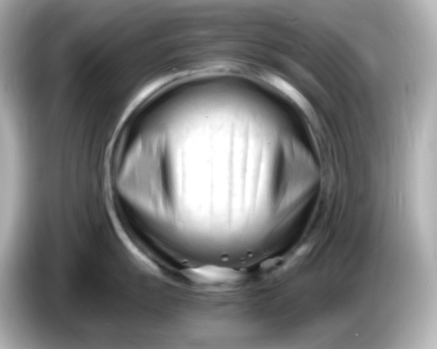 X0000086061055200704091225