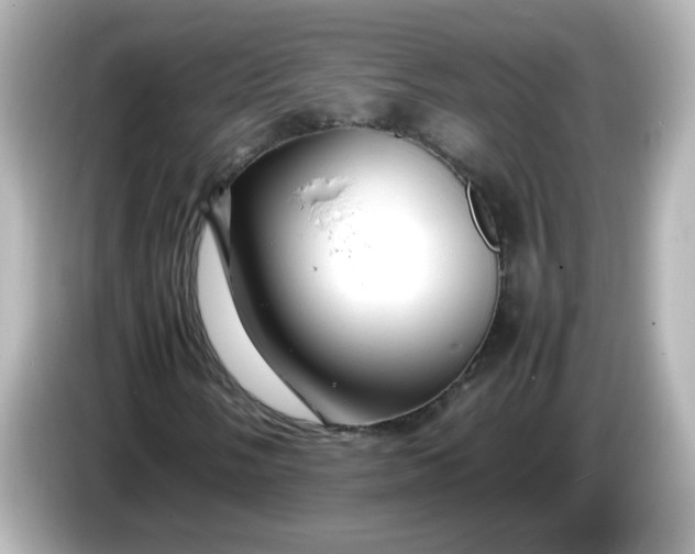 X0000086061058200704091224