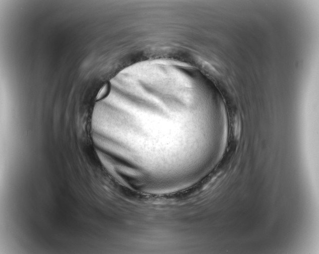 X0000086061059200704091224