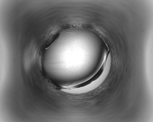 X0000086061060200704091224