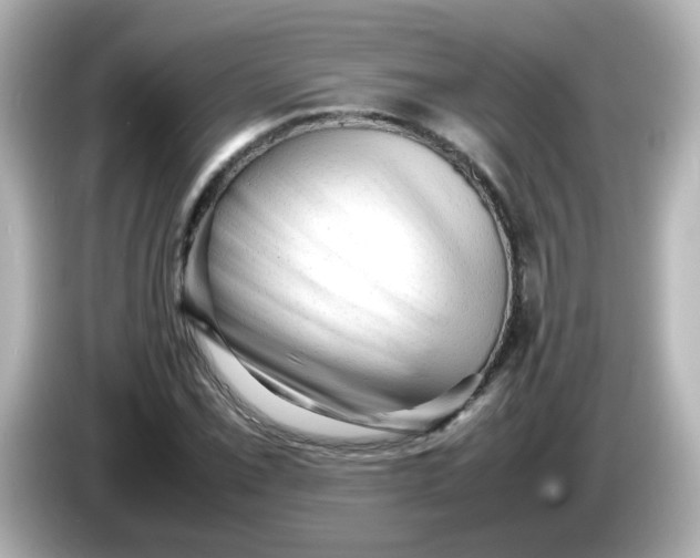 X0000086061069200704091224