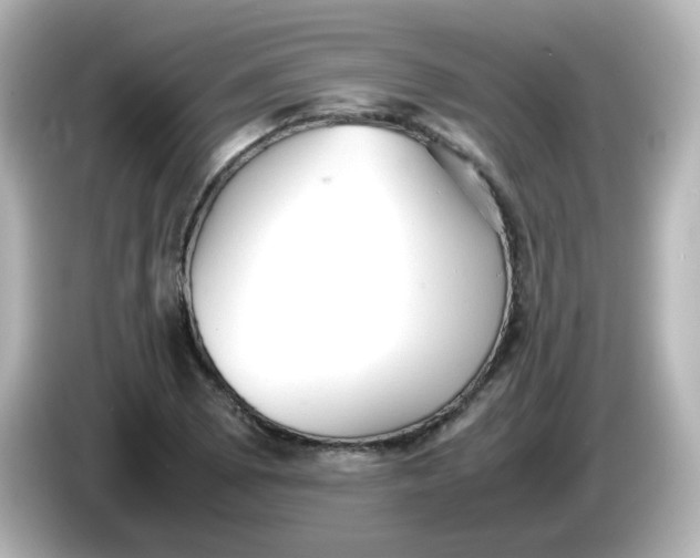 X0000086061073200704091224