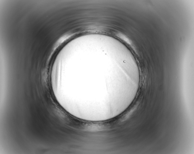 X0000086061074200704091224