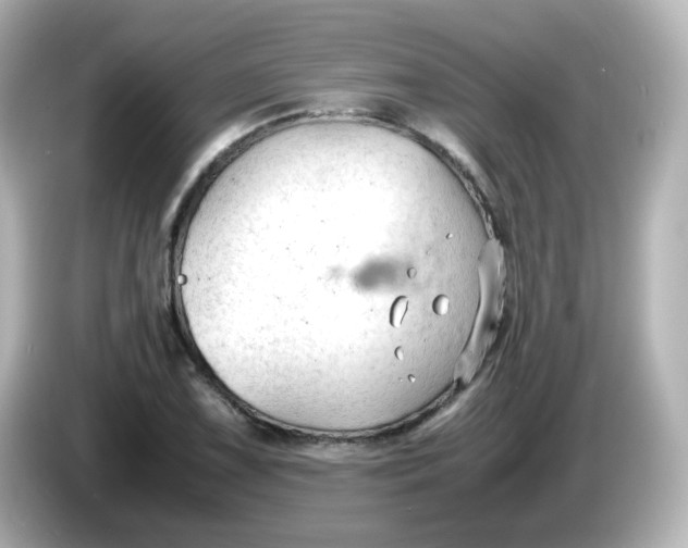 X0000086061075200704091224