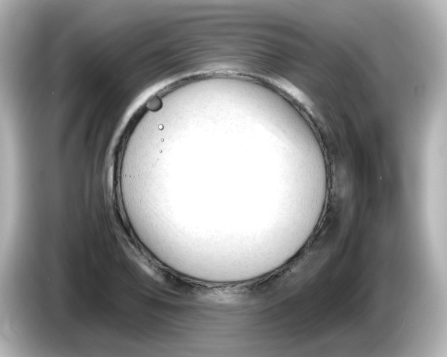 X0000086061078200704091224