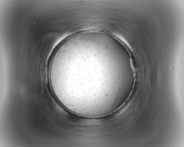 X0000086061079200704091224