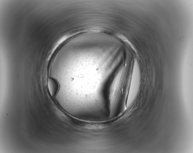 X0000086061083200704091224