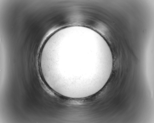 X0000086061086200704091224