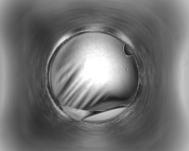 X0000086061087200704091224