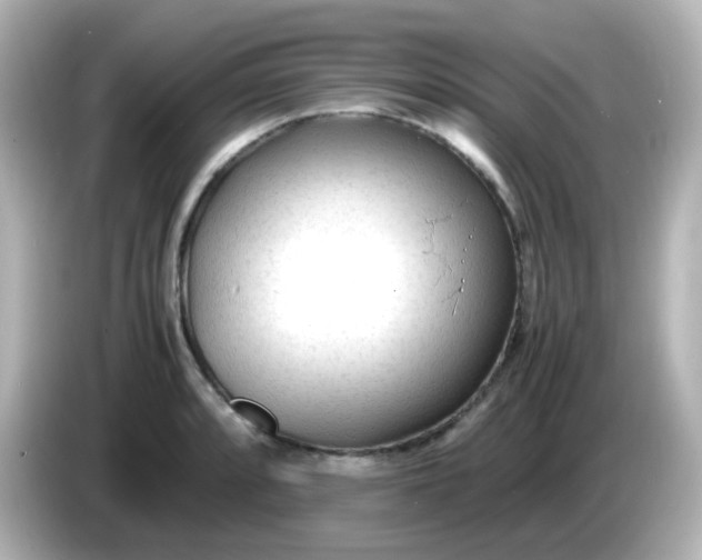 X0000086061088200704091224