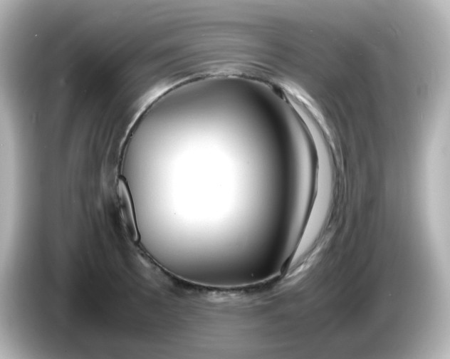 X0000086061089200704091224