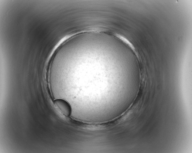 X0000086061091200704091223