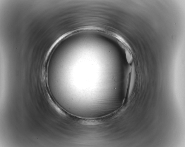 X0000086061092200704091223