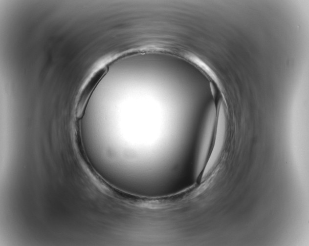 X0000086061093200704091223