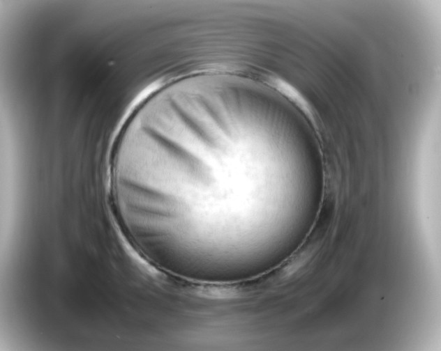 X0000086061095200704091223