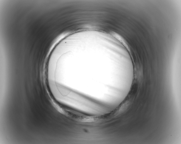 X0000086061098200704091223