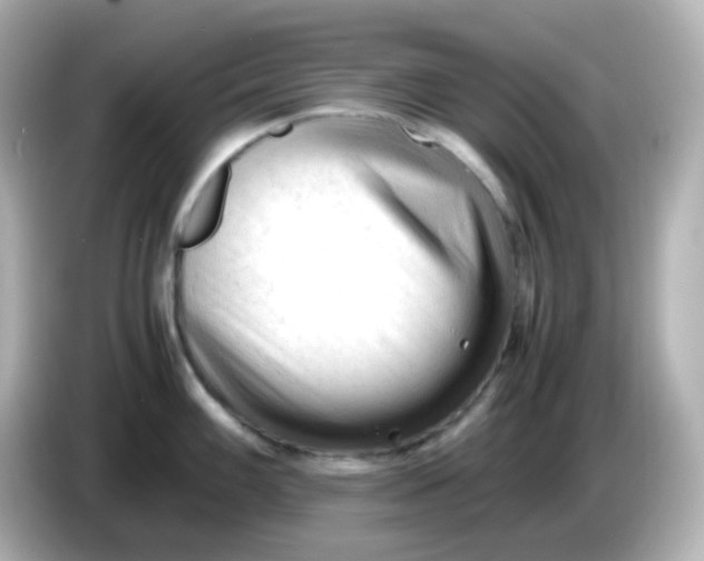 X0000086061100200704091223