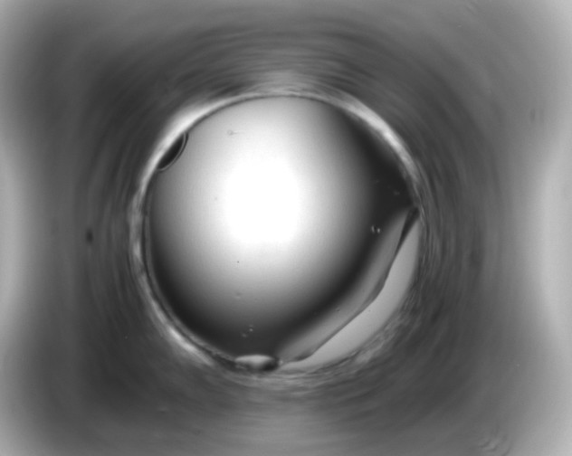 X0000086061102200704091223