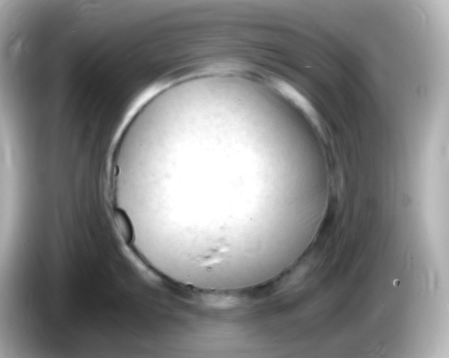 X0000086061103200704091223