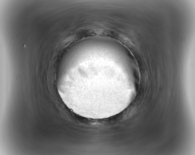 X0000086061105200704091223