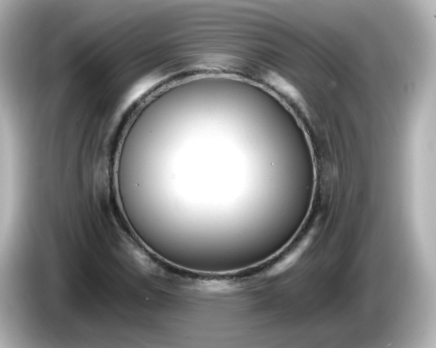 X0000086061114200704091223