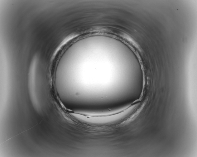 X0000086061117200704091223