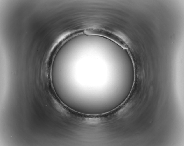 X0000086061118200704091223